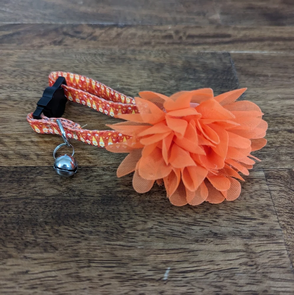 *NWOT* Fall Kitten/Cat Collar Bundle